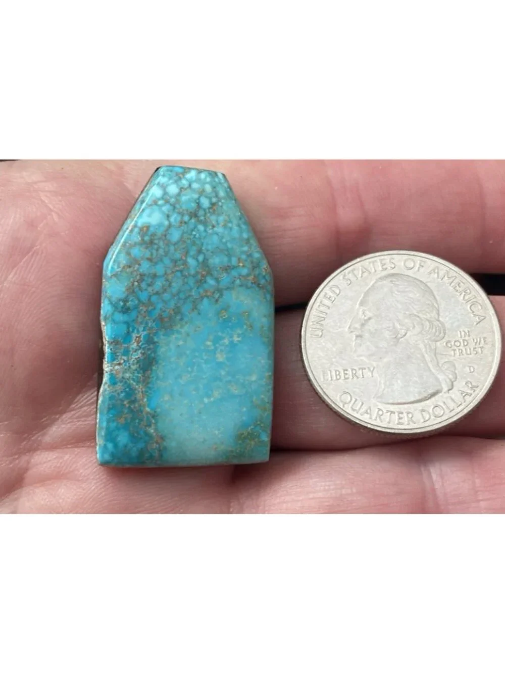Carico lake turquoise cabochon 41.7 Carats Backed (Bin100)